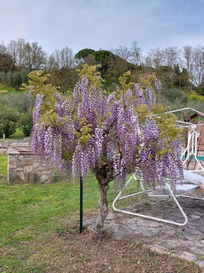 Agriturismo Camera Rosa Todi Exterior foto
